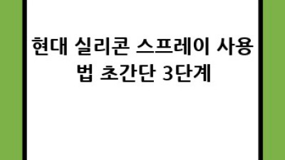 현대 실리콘 스프레이: 다용도 활용법과 놀라운 장점!