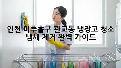 인천 미추홀구 관교동 냉장고 청소, 냄새 제거 완벽 가이드!